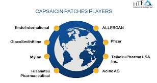 Capsaicin Patches Market