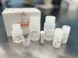 DNA Extraction Kits Market