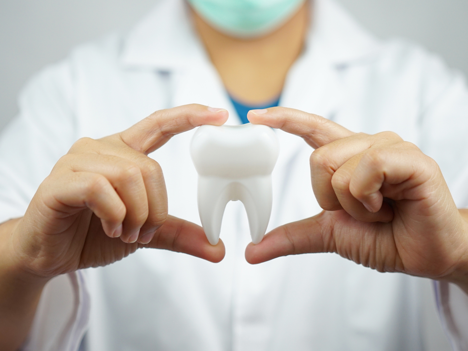 Dental Insurance Service Market