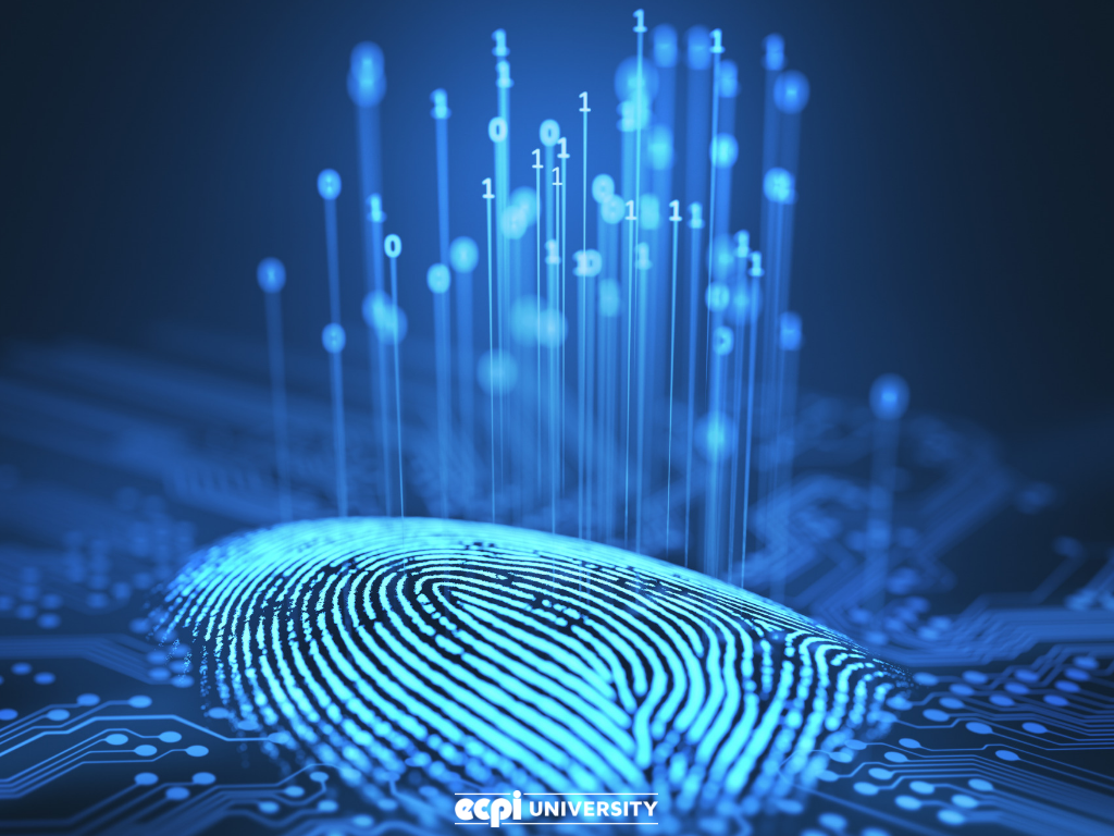 Digital Forensic Technology Market