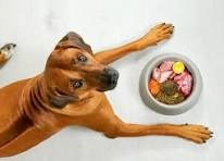 Low-fat Pet Food