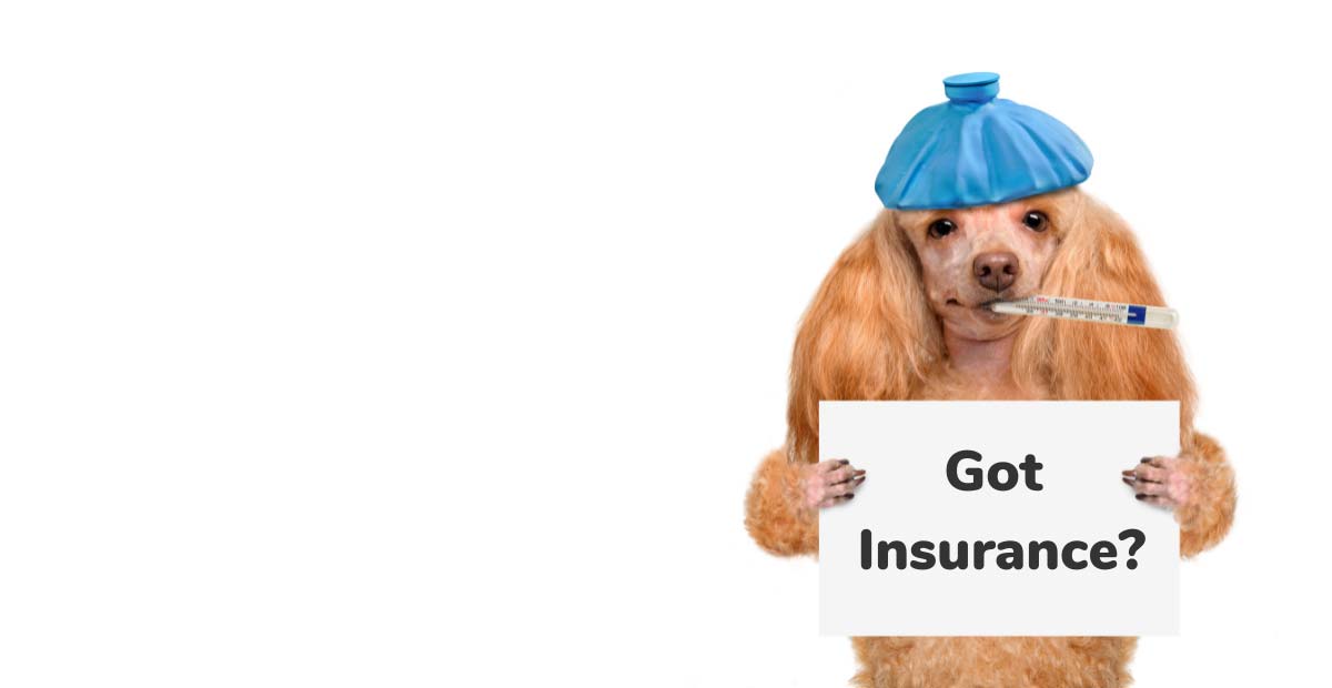 Pet Insurance Market