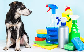 Pet Internal and External Cleaning Products Market