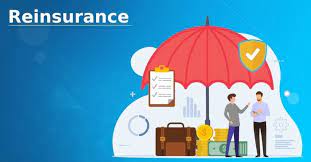 Reinsurance Carriers Market