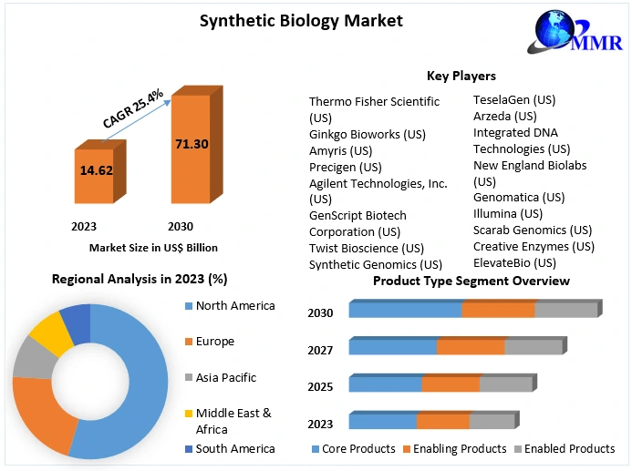 Synthetic Biology Market