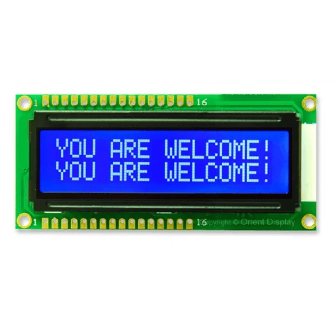 Backlit Display Module Market