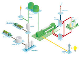 Biogas Power Plants Market