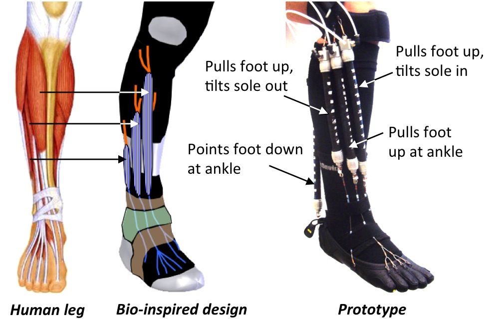 Foot And Ankle Device Market