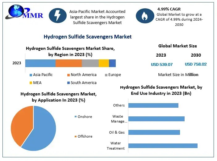 Hydrogen Sulfide Scavengers Market