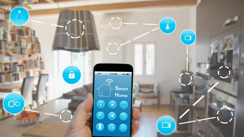 India Smart Home Installation Service market1