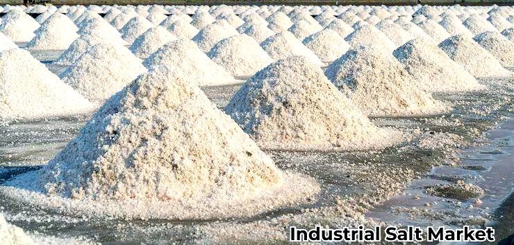 Industrial Salt Market