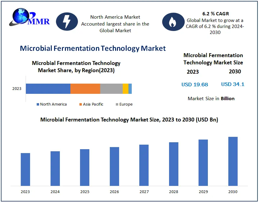 Microbial Fermentation Technology Market