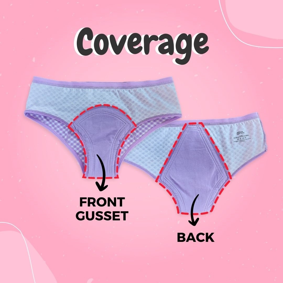 Period Panties (Menstrual Underwear) Market