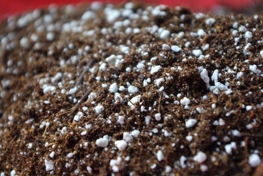 Perlite and Vermiculite Market